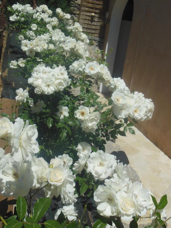 Aloasis Bed & Breakfast Grimaud Exterior foto